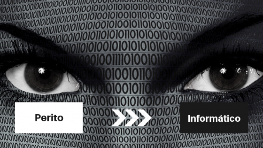 Las salidas profesionales de un Perito Informático