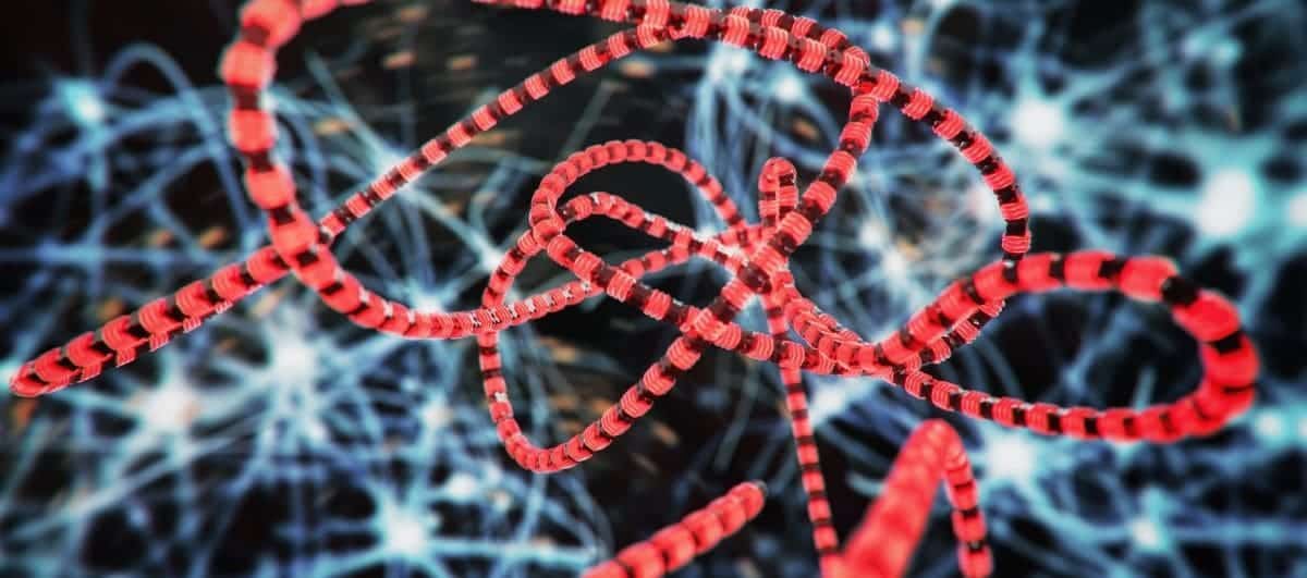 A la caza de Gusanos de correo electrónico