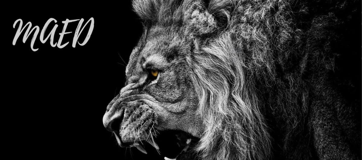 Distribución Kali-Linux para OSINT